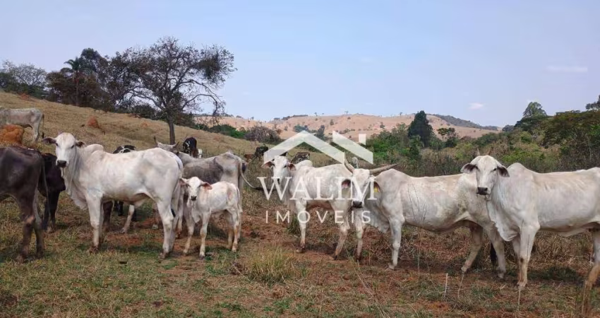Fazenda à venda, 500000 m² por R$ 2.800.000,00 - Zona Rural - Crucilândia/MG