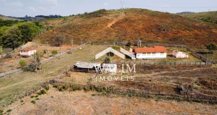 ?? fazenda cafeeira à venda –   na rota do café – mg   no café em mg santo antônio do amparo e oliveira, mg