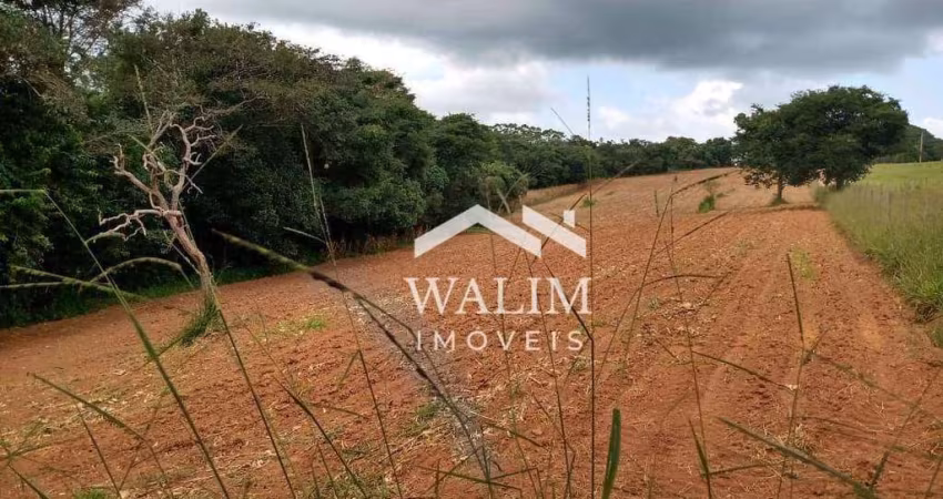 ?? Fazenda de 110 Hectares entre Itaguara e Itatiaiuçu/MG – Riqueza Natural e Potencial Produtivo! ??