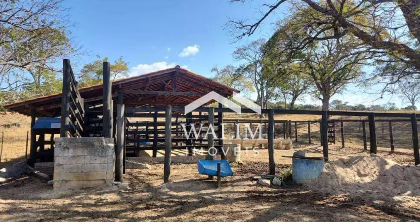 Fazenda de 65 hectares à venda em fortuna de minas, mg – casa, chalé, curral e açude para lazer e pecuária!