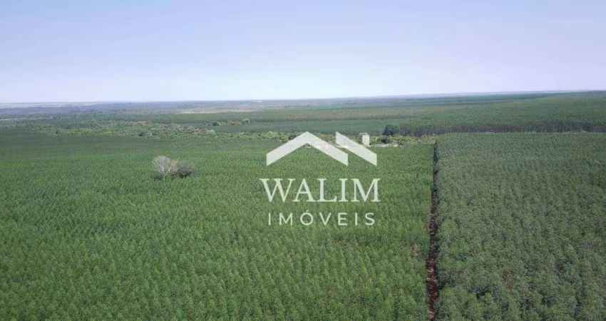 Fazenda à venda, 4 m² por R$ 180.000.000,00 - Zona Rural - Araguaiana/MT