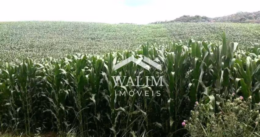 Oportunidade única! fazenda produtiva de 2.320 alqueires no vale do ribeira - sp