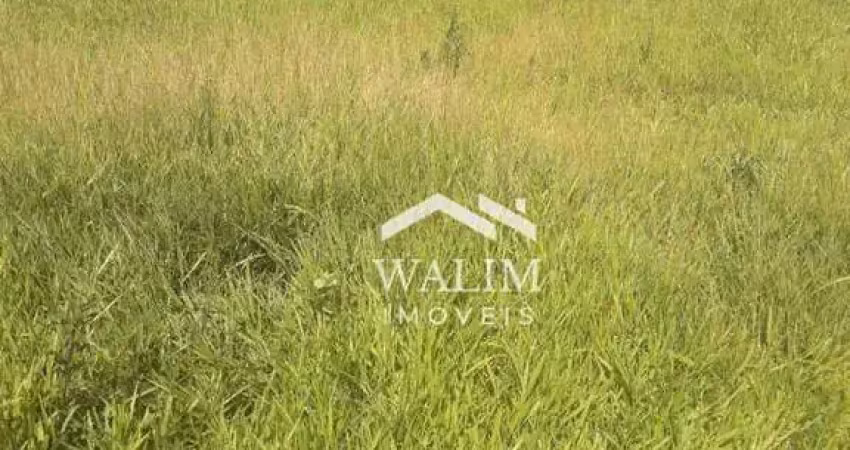 ?? terreno de 183 hectares em iguatama/mg: potencial agrícola e localização estratégica!??