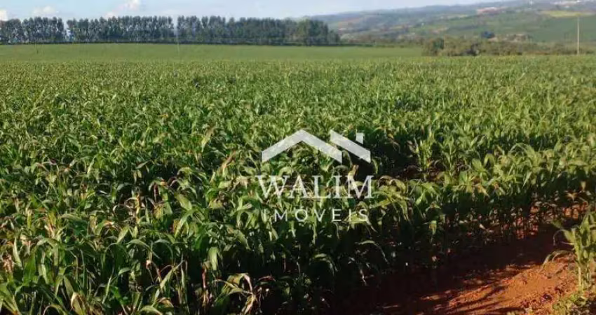 Oportunidade imperdível: fazenda de 500 hectares no campo das vertentes, mg