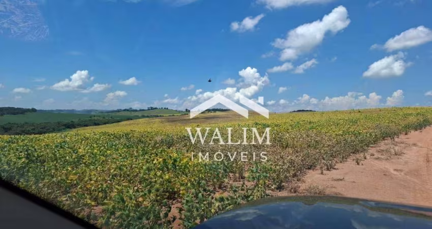 Fazenda de 484 Hectares em Carmo do Rio Claro, MG – Potencial Máximo para Lavouras e Investidores do Agronegócio