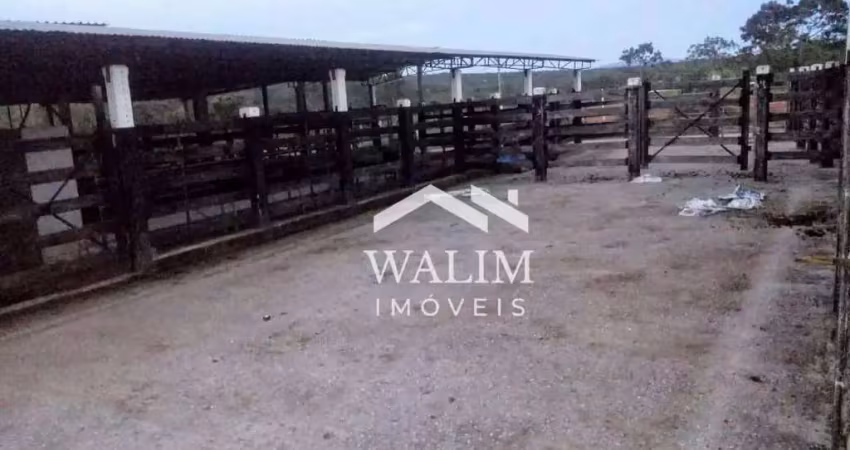 ??? fazenda de excelência à venda no gerias, 163 hectares (santana de pirapama) ???
