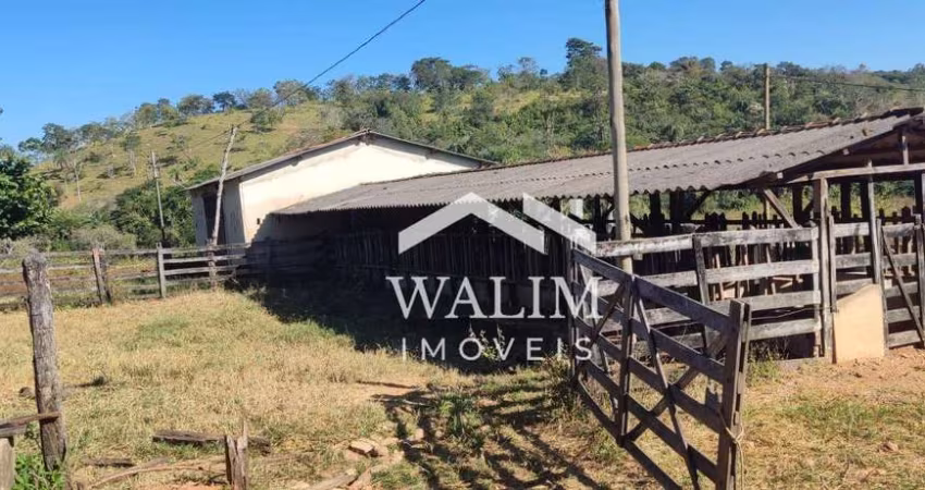FAZENDA DE 123 HECTARES À VENDA EM SÃO VICENTE (BALDIM) – OPORTUNIDADE ÚNICA PARA AGROPECUÁRIA E INVESTIMENTO!