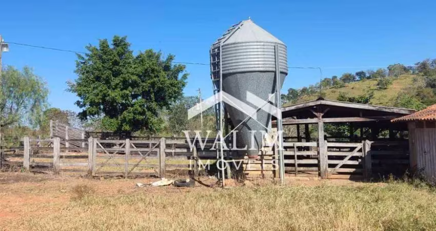 Fazenda de 123 hectares à venda em são vicente (baldim) – oportunidade única para agropecuária e investimento!