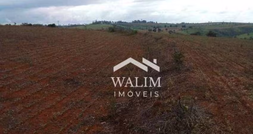 FAZENDA DE 240 HECTARES À VENDA EM BAMBUÍ/MG – TERRA FÉRTIL PARA LAVOURAS E AGROINDÚSTRIA!