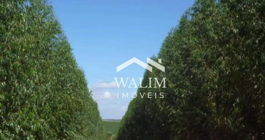 FAZENDA PREMIUM EM JOÃO PINHEIRO/MG – OPORTUNIDADE PARA AGROINDÚSTRIA E INVESTIMENTO ESCALÁVEL
