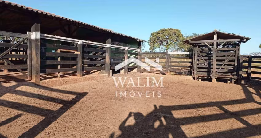 FAZENDA À VENDA 300 HECTARES, EM CURVELO, MG – EXCELENTE ESTRUTURA E LOCALIZAÇÃO!