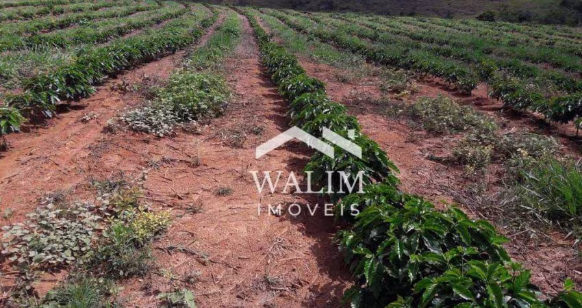 Fazenda dos Sonho, 112 hectares em Oliveira - MG
