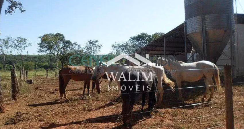 ??? fazenda excepcional - 70 hectares de oportunidade estratégica! ??