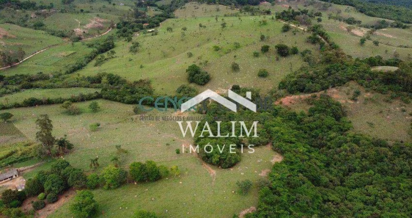 ???? FAZENDA À VENDA COM 96 HA EM BONFIM/MG – PRODUTIVIDADE, BELEZA E SUSTENTABILIDA