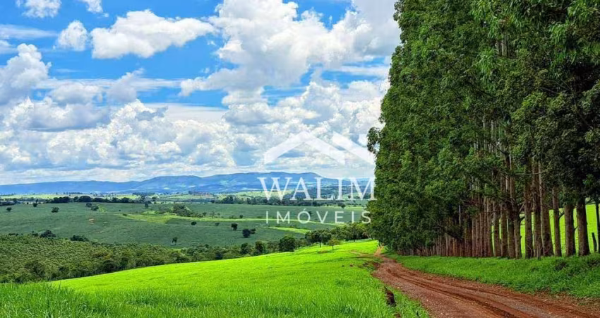 FAZENDA DE 120 HECTARES EM PAINS (MG) – LUXO, PRODUTIVIDADE E BELEZA NATURAL!