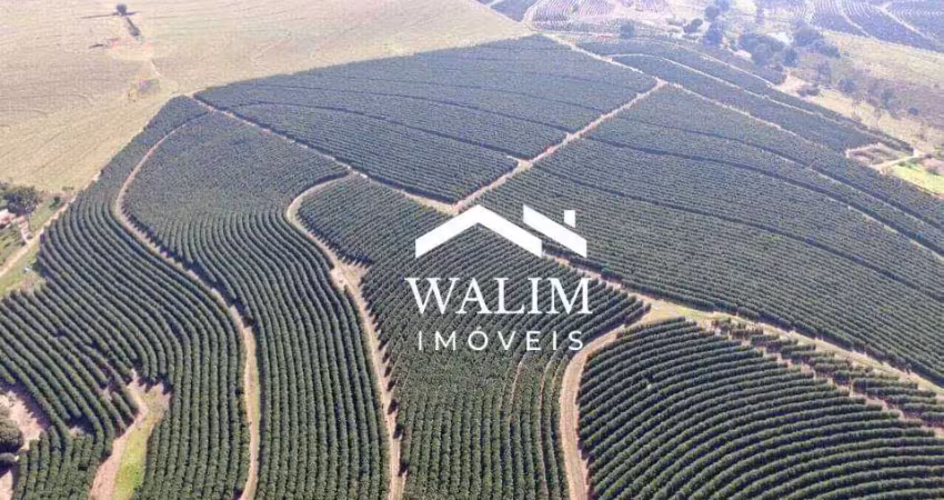 ?? fazenda de elite no coração do agronegócio brasileiro ?? oportunidade única para mega investidores nacionais e internacionais