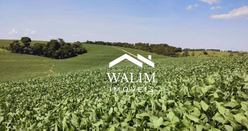 FAZENDA PREMIUM EM ITAPETININGA-SP 611 Alqueires | 1.478,62 Hectares | R$ 280 Milhões