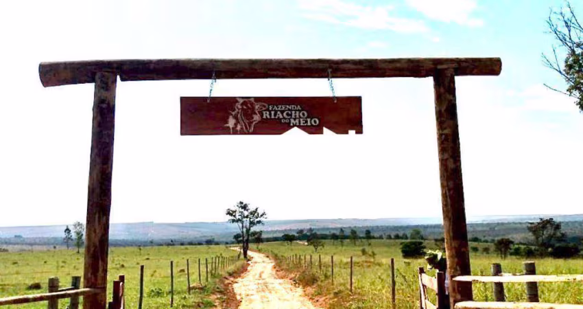 FAZENDA DE 350 HECTARES À VENDA EM CURVELO, MG – PRODUÇÃO, BELEZA E INFRAESTRUTURA COMPLETA!
