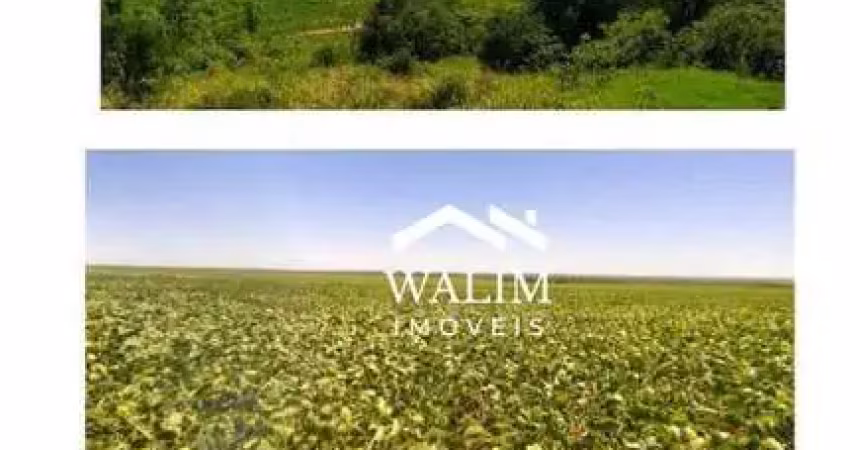 ?? OPORTUNIDADE GLOBAL EXCLUSIVA | FAZENDA PREMIUM – 10.019 HA | PARAGUAI VALOR: US$ 30.000.000