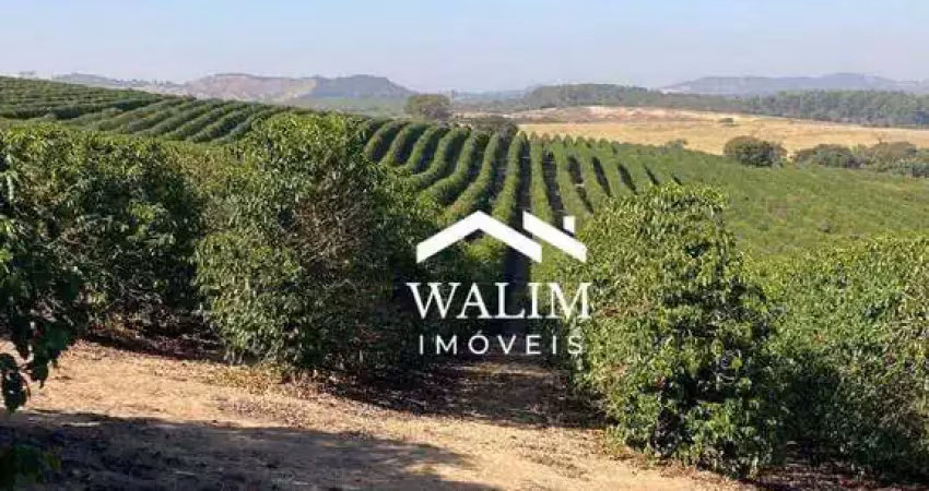 ?? fazenda à venda café altamente produtiva – boa esperança/mg