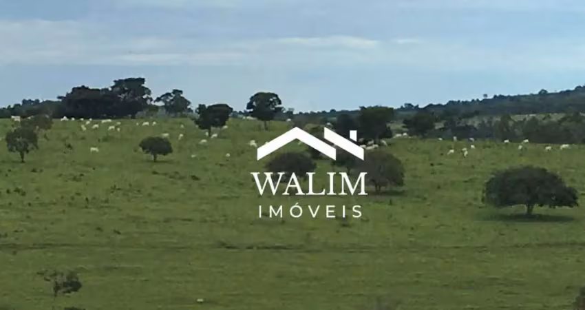 ?? fazenda à venda – divinópolis / mg  ? 149 hectares prontos para alta produtividade!