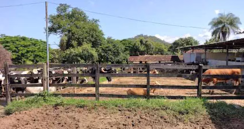 ?? fazenda espetacular à venda em conceição do pará – mg, 201 hectares!