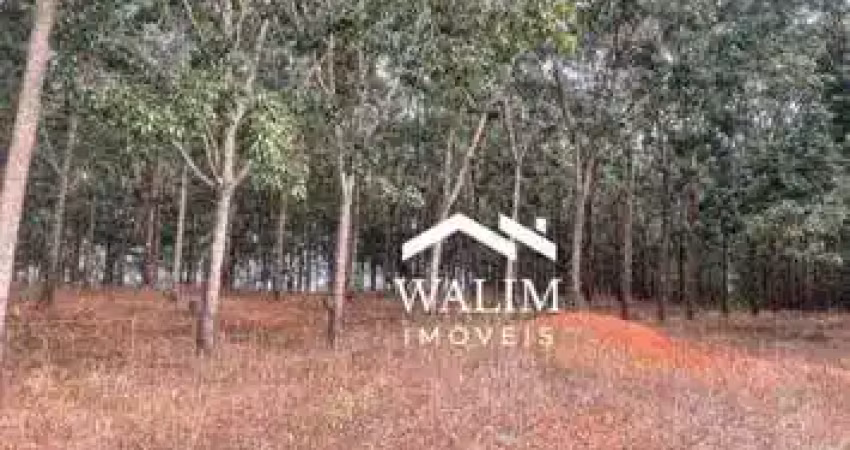 ?? fazenda à venda – 480 hectares de riqueza e produtividade em piumhi – mg ??