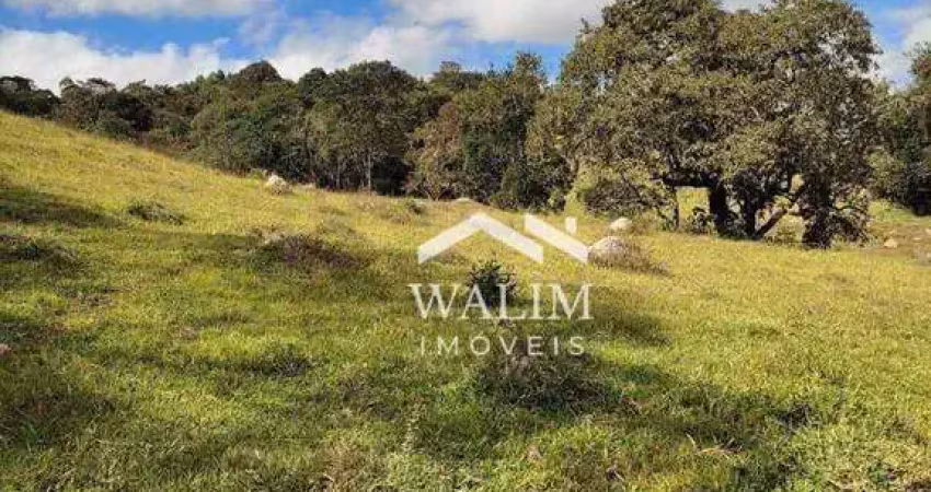 ?? terreno de 10 hectares à venda em piedade dos gerais, mg | ideal para agricultura e pecuária