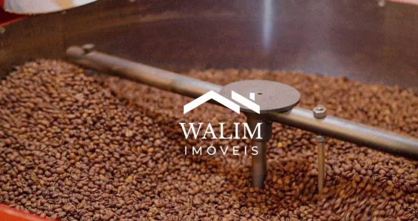 Fazenda cafeeira à venda – 95 hectares de café - oportunidade única no sul de minas