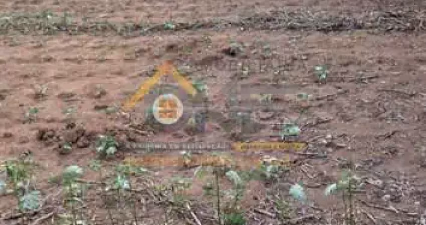 Terreno para venda - recanto campestre internacional de viracopos gleba 3 - indaiatuba/sp