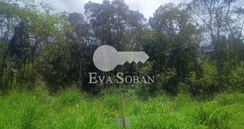 Terreno em condomínio fechado à venda na Rodovia Caraguá - Ubatuba, Massaguaçu, Caraguatatuba