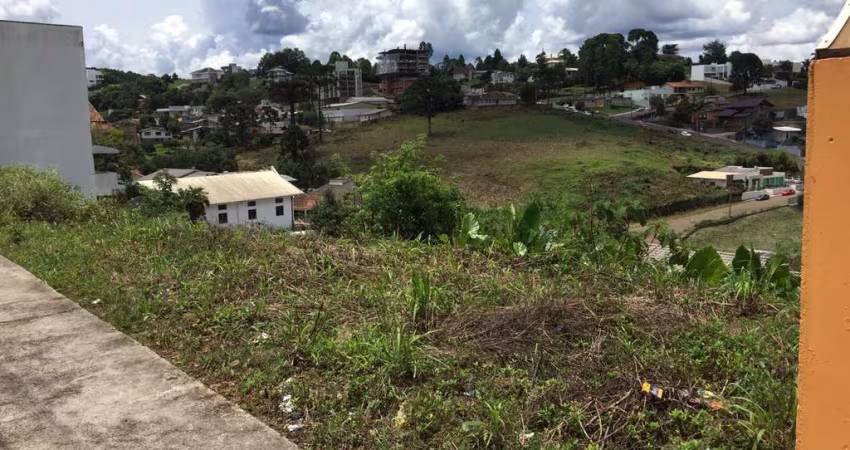 Terreno à venda na Herculano Coelho de Souza, 2, Reunidas, Caçador