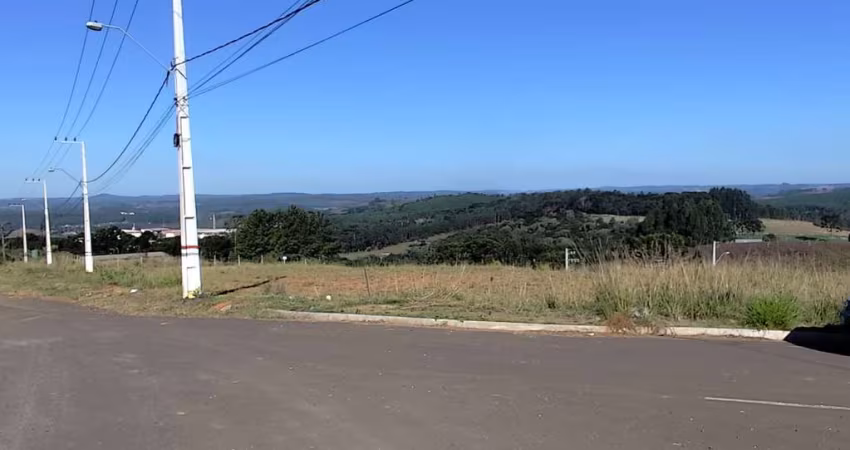 Terreno comercial à venda na Rodovia Honorino Moro, 3, Champagnat, Caçador