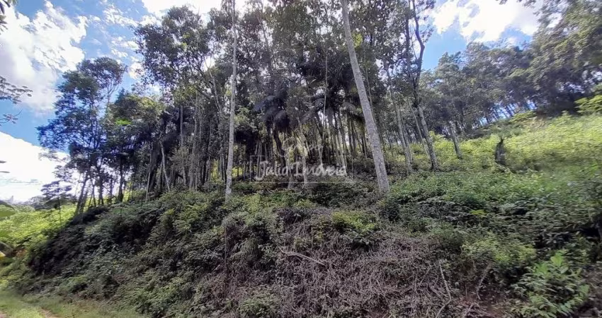 Terreno à venda em Cedrinho Brusque