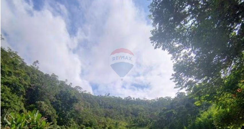 'Viva o Encanto da Serra em Motas, Teresópolis!'