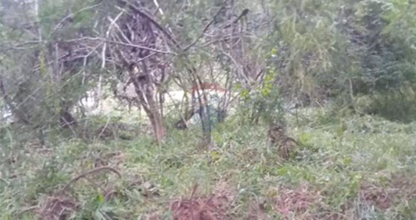 Terreno à venda na BR-116, km. 68, Granja Mafra, Teresópolis