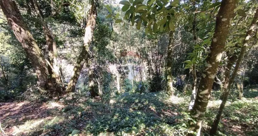 Terreno à venda na Rua Esmeraldino Salvino, 691, Centro, Guapimirim