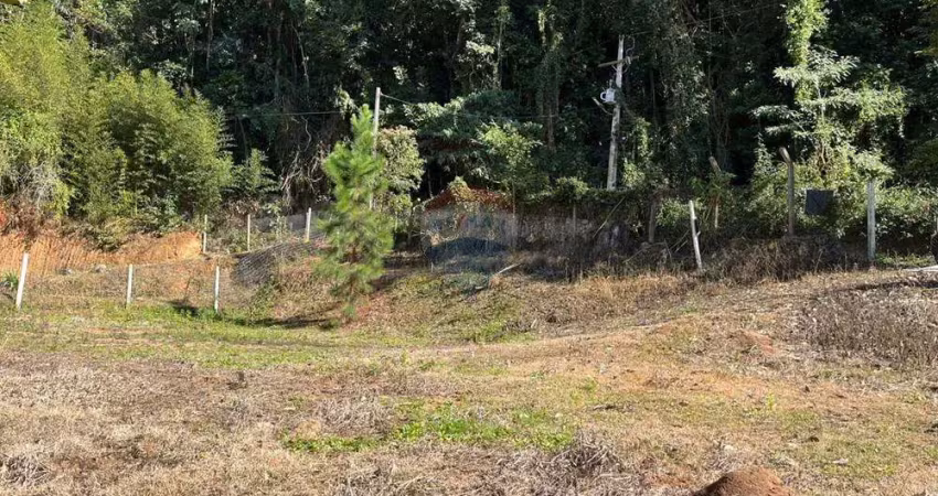 'oportunidade no parque do imbuí: terreno de 960m² com árvores frutíferas, topografia privilegiada e muito verde!'