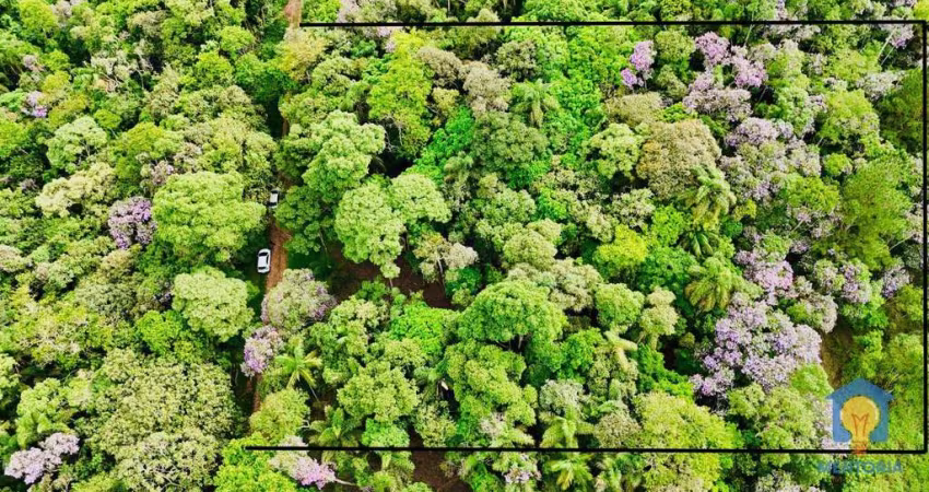 Terreno à venda, 2700 m² por R$ 265.000,00 - Chácaras Embu Colonial - Embu das Artes/SP