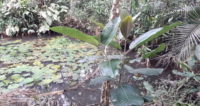 Terreno à venda na Rua Doze, Verde Mar, Caraguatatuba