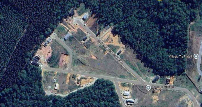 Terreno à venda, 344 m² por R$ 210.000,00 - Monte Verde - Camanducaia/MG