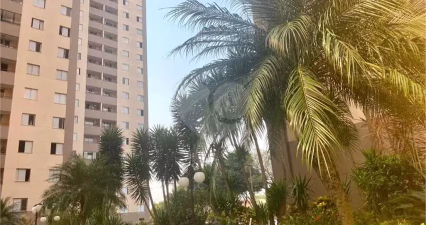 Apartamento com 3 quartos à venda em vila camilópolis - sp