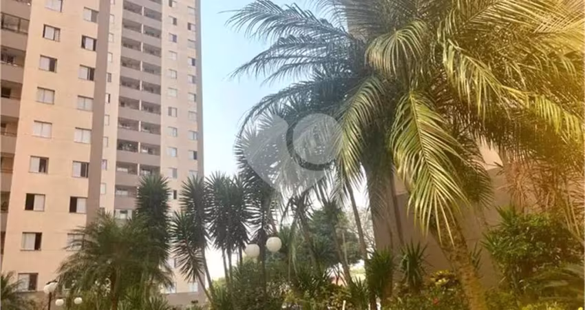 Apartamento com 3 quartos para locação em vila camilópolis - sp