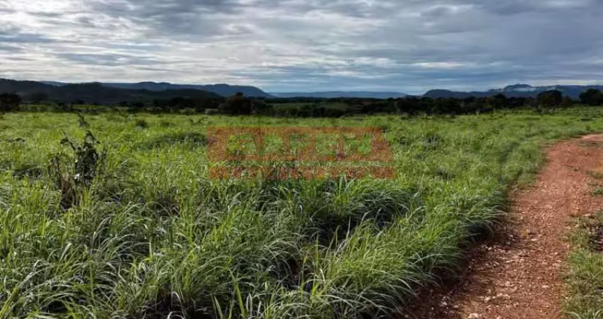 Fazenda com 3 salas à venda na Rua Jocelim Gomes Pires, Loteamento Leão, Catalão