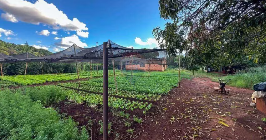 Terreno para venda,  4020m² - antônio marincek - ribeirão preto