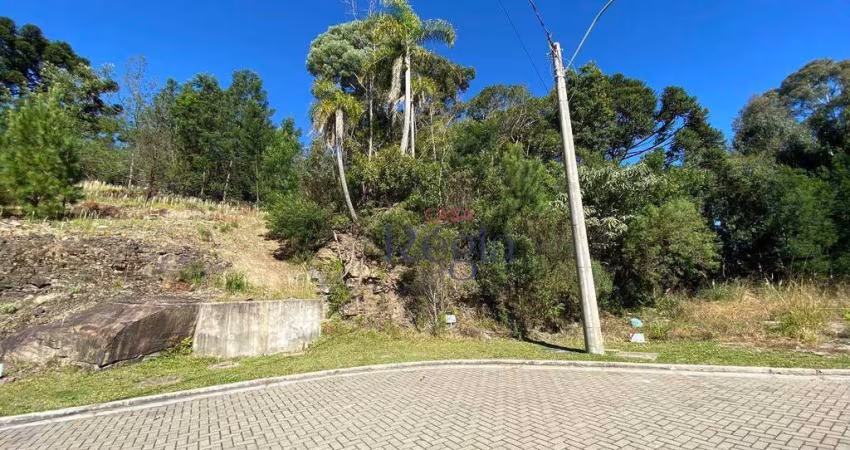 Terreno no loteamento Terras Altas em Gramado!