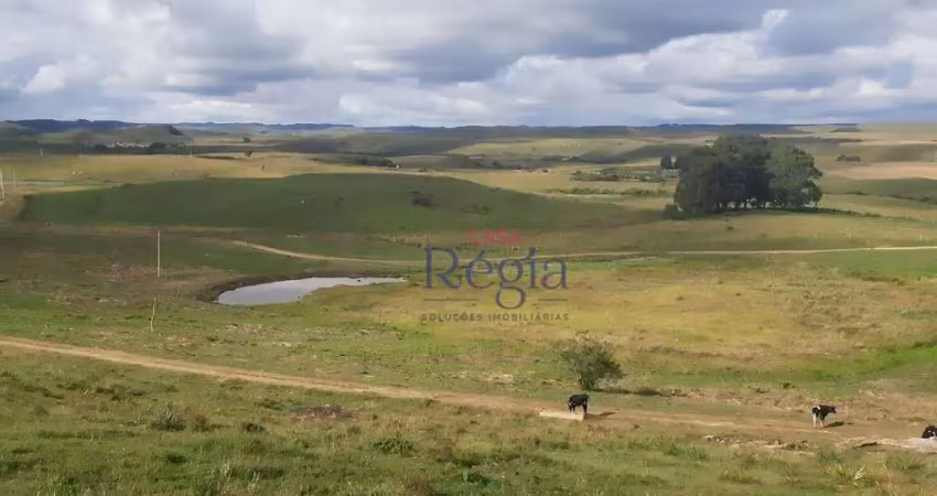 Sítio à venda, 201 hectares por r$ 11.500.000 - lajeado grande - são francisco de paula/rio grande do sul