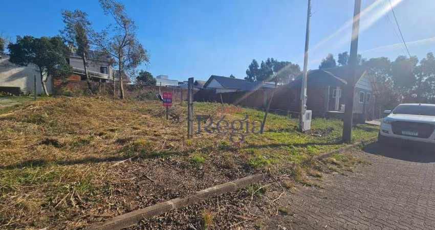 Terreno à venda, 250 m² por R$ 275.000,00 - Vila Dante - Canela/RS