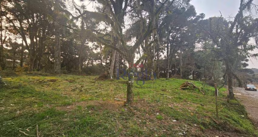 Terreno à venda, 407 m² por R$ 309.488,00 - São Luiz - Canela/RS