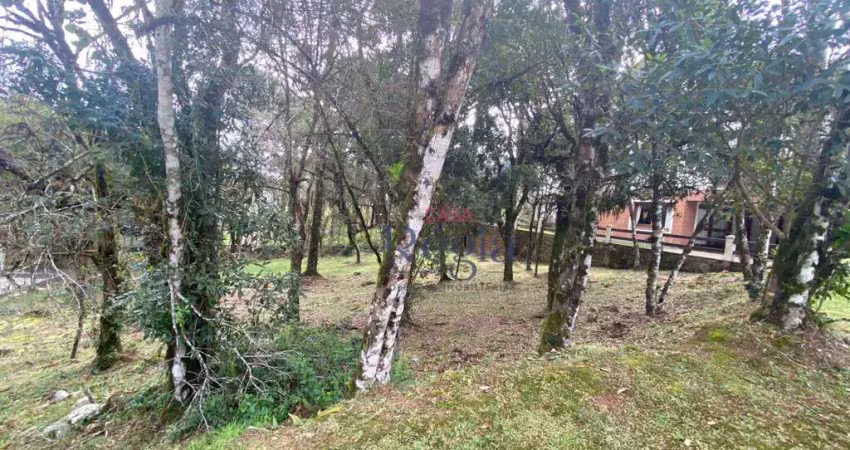 Terreno à venda, 707 m² por R$ 1.800.000,00 - Centro - Canela/RS